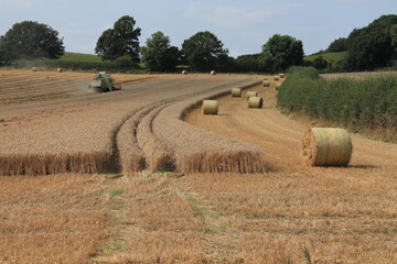 Combine harvester in a field on a hot summer's day in July in a field in West Yorkshire UK