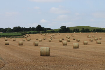 Fototapeta premium Round hay bales in a field on a hot summers afternoon near Wakefield West Yorkshire In the UK