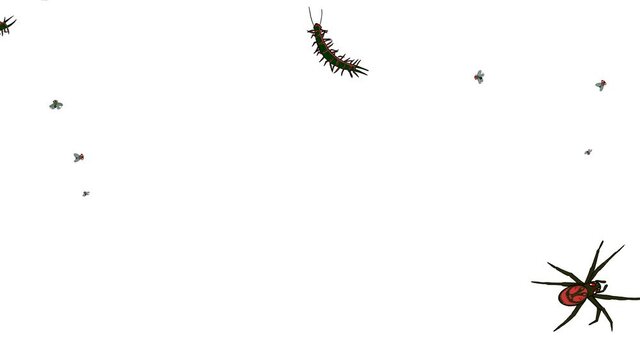 crepy flies and spiders crawling on the screen isolated