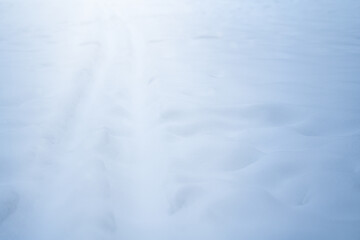 Defocused background with tree branches 