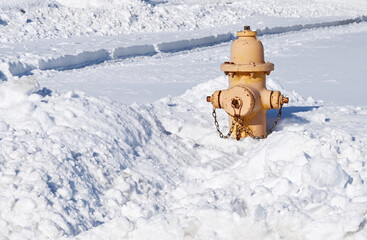 Fire Hydrant in Snow