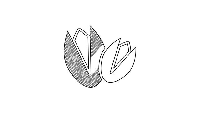 Black line Pistachio nuts icon isolated on white background. 4K Video motion graphic animation