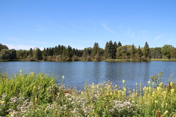 Blooming By The Lake, William Hawrelak Park, Edmonton, Alberta