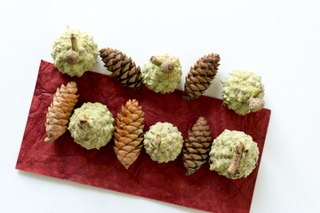 pine cones with bur oak acorns on red paper