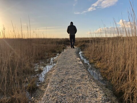 Rear view of a man walking along a footpath towards the beach, Fanoe Bad, Fanoe, Jutland, Denmark