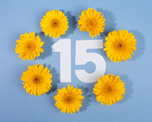 Number 15 surrounded with yellow gerbera flowers on blue background.