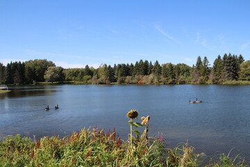 Obraz premium Septemeber On The Lake, William Hawrelak Park, Edmonton, Alberta