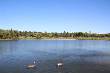 Naklejka na ściany i meble Wide Lake, William Hawrelak Park, Edmonton, Alberta