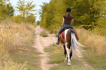 Girl rides a pinto on a forest road, photo from behind