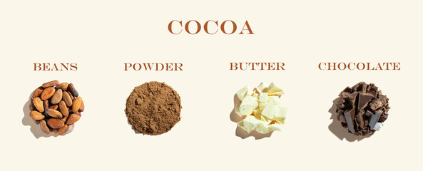 Creative composition with healthy organic cocoa products: cocoa beans and cocoa powder on a ivory...