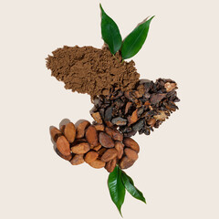 Creative composition with healthy ingredient organic cocoa products: beans, powder on a ivory...