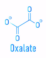 Oxalate anion, chemical structure. Oxalate salts can form kidney stones. Skeletal formula.