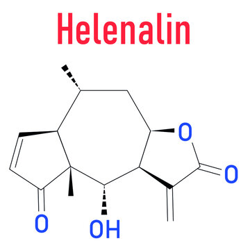 Helenalin sesquiterpene lactone molecule. Toxin found in Arnica montana. Skeletal formula.