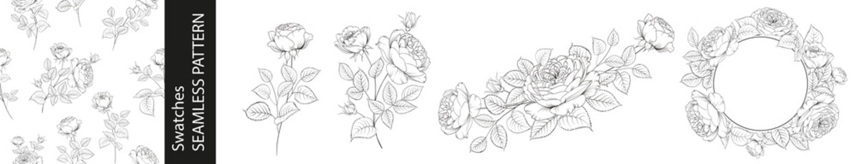 Set of different branches of roses, pattern and circle frame on white background.