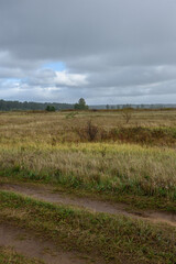 Fototapeta na wymiar A picturesque landscape. A field in late autumn