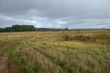A picturesque landscape. A field in late autumn