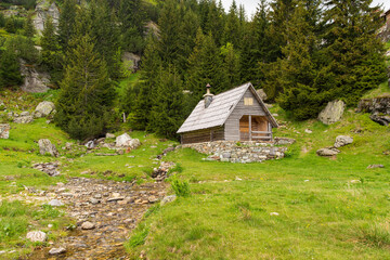 Small wooden cottage located on the bottom of mountain surrounded with boreal trees and small creek...