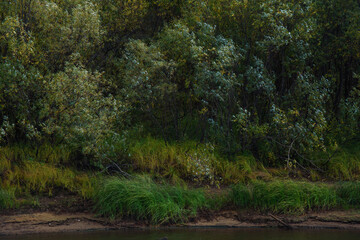 A picturesque river bank in early autumn with grass on the bank