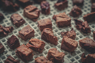 Dried pieces of meat in the tray of an electric dryer. Preparation of dehydrated meat for storage. Top view, horizontal composition, close-up