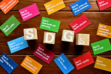 On a wood board, wooden word cubes are arranged in the letters SDGs. It is an abbreviation for...