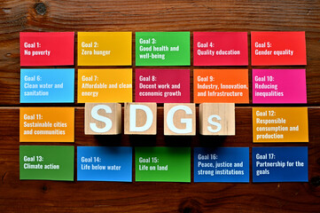 On a wood board, wooden word cubes are arranged in the letters SDGs. It is an abbreviation for...