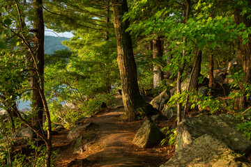 Tumbled Rocks trail at sunrise.