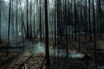 Fire in a forest near Pervouralsk, Ural, Sverdlovsk region, August 25, 2021