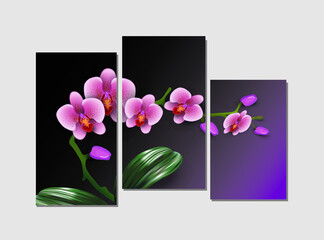 Pink phalaenopsis orchid on a purple background triptych modular paintings. Vector illustration for wall design, other. 