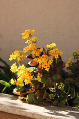 bouquet of yellow flowers.