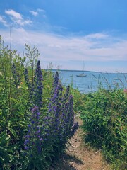 Eastern promenade—Portland, Maine © Chelsie
