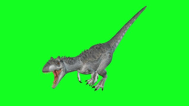 animation -Allosaurus Walking On Green Screen Background. World of Dinosaurs.