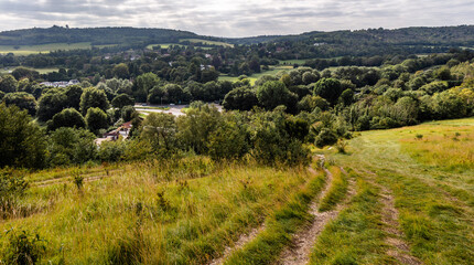 The view of Surrey Hills Area of Outstanding Natural Beauty (AONB), from Box hill, along the stepping stone walk. 