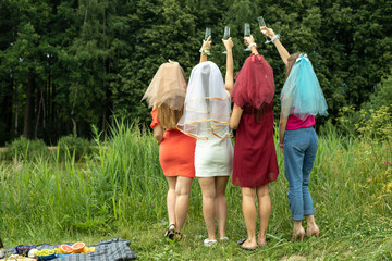 Girls at a picnic. Girls are holding glasses of wine.