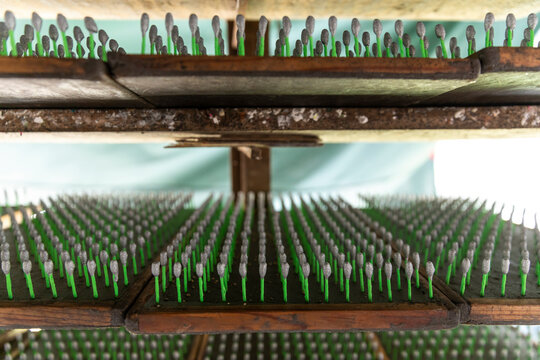 Comet firecraker shop in the Saucera zone.  / Taller de producci&oacute;n de cometas en el &aacute;rea de La Saucera.