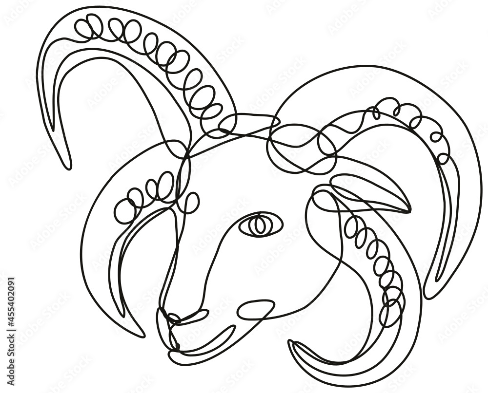 Poster continuous line drawing illustration of a head of manx loaghtan sheep done in mono line or doodle st