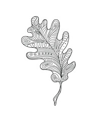 Decorative leaves. The plant is decorated with a pattern. Design element for print, label, logo, packaging template. Coloring. Vector outline illustration