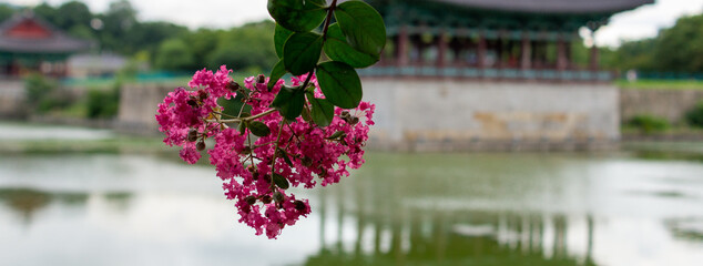 경주 동궁과월지
