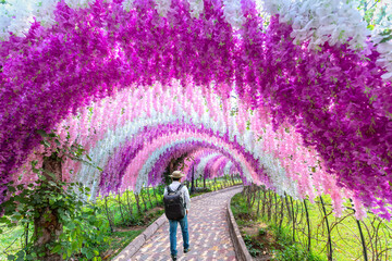 A gate of brilliant wisteria flowers surrounds the entrance to the ecological garden, which...