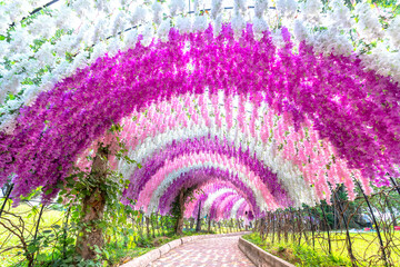 The wisteria tunnel leads to the natural ecological garden in Dong Nai, Vietnam