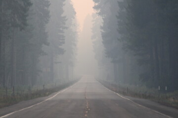 road in the mist