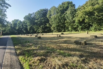 Fototapeta na wymiar field of hay