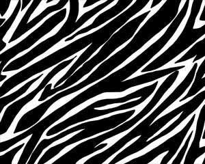 Fototapeta na wymiar seamless pattern with zebra.