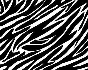 Fototapeta na wymiar zebra skin pattern.