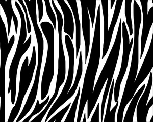 zebra skin pattern texture.