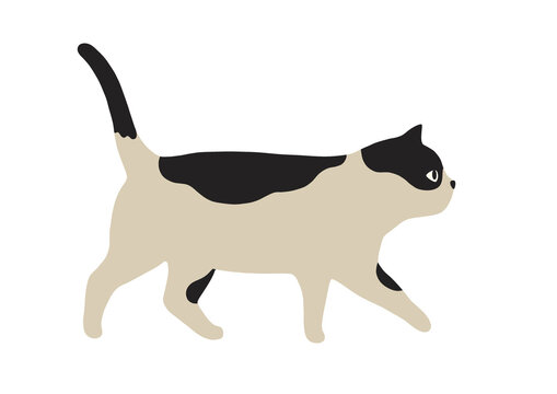 6 135 Best イラスト ネコ 猫 Images Stock Photos Vectors Adobe Stock 6 135 Best イラスト ネコ 猫 Images Stock Photos Vectors Adobe Stock