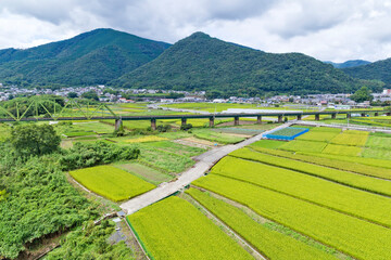 Japanese countryside In Tokushima prefecture, Shikoku, Japan