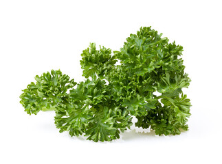 Fresh Parsley isolated on white