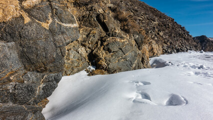 Snowdrifts lie at the foot of a granite cliff. Footprints in the snow. Cracks and dry grass on the stones. Close-up. Texture. Siberia.