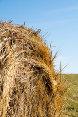 Fototapeta na wymiar Straw bale against blue sky, close up. Agriculture or harvesting concept.