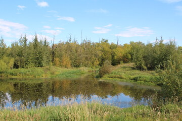 Looking At The Creek, Pylypow Wetlands, Edmonton, Alberta